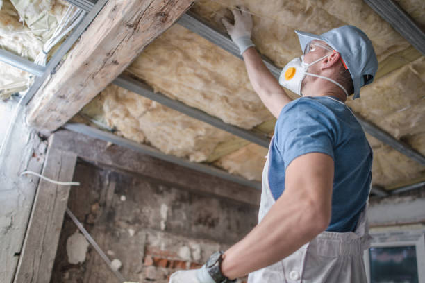 Best Insulation Repair Services  in Coventry Lake, CT